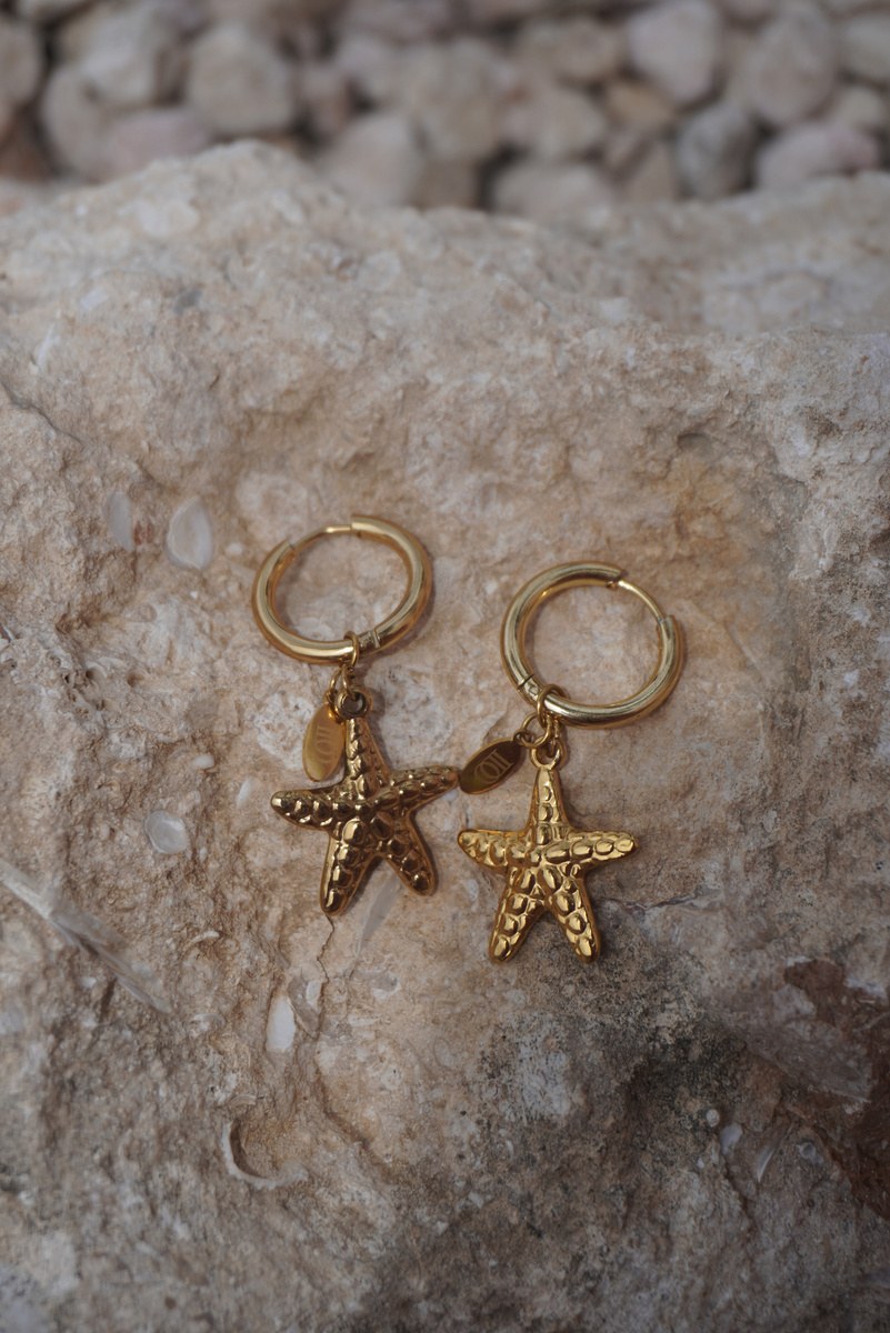 Sia Oorbellen, Hoops met zeesterren, Stainless steel