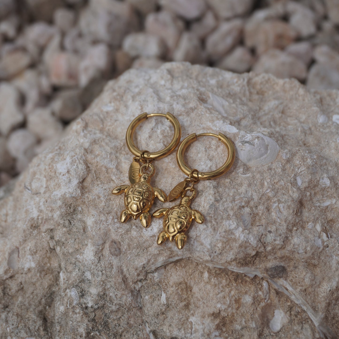 Mara Earrings – Stainless Steel Charm Earrings