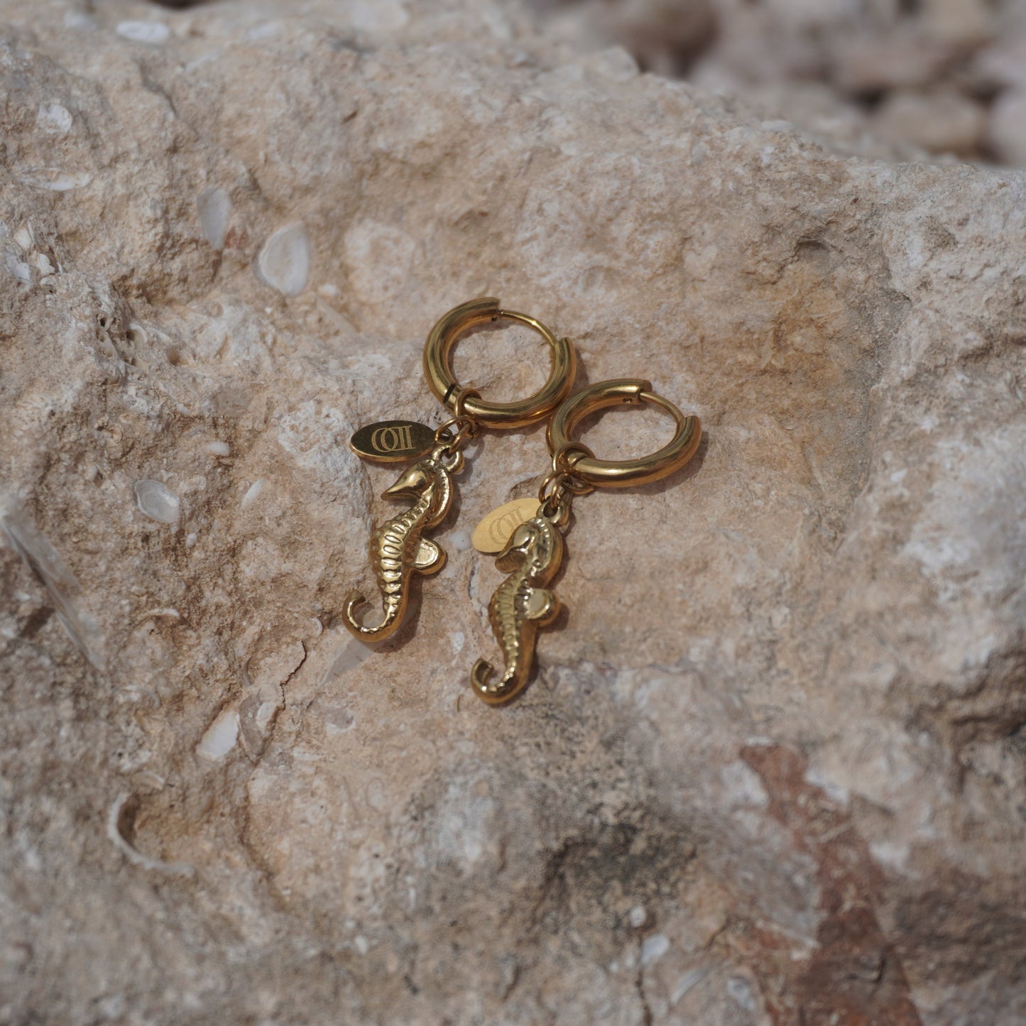 Nala Earrings – Stainless Steel Charm Earrings