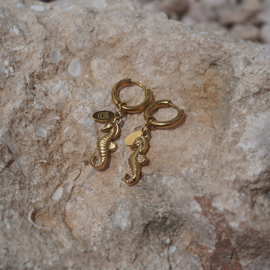 Nala Earrings – Stainless Steel Charm Earrings