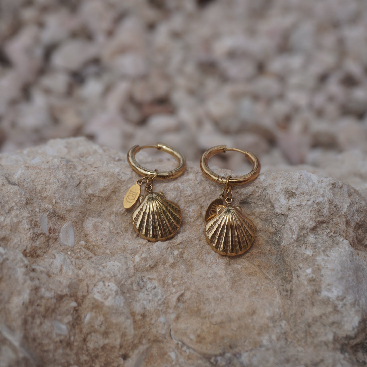 Nia Earrings – Stainless Steel Shell Earrings