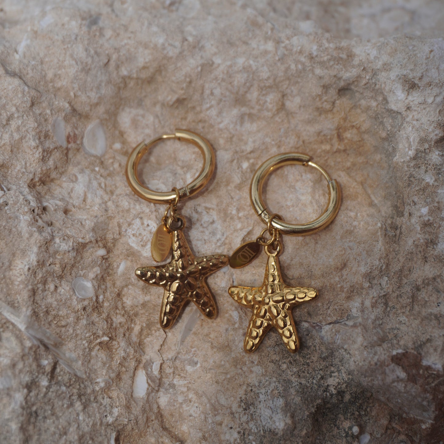 Sia Earrings – Stainless Steel Charm Earrings